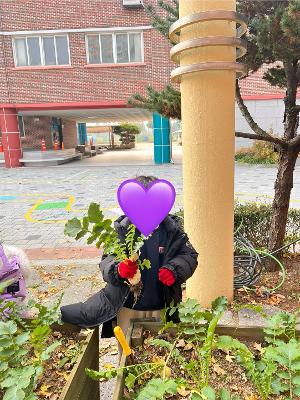 2025.11.24텃밭활동-텃밭감무리